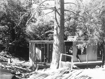 First Floor of Cabin